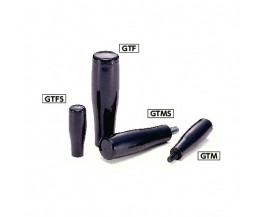 GTM/GTMS/GTF/GTFS