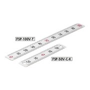 FSP-V