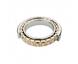 Cylindrical Roller Bearings
